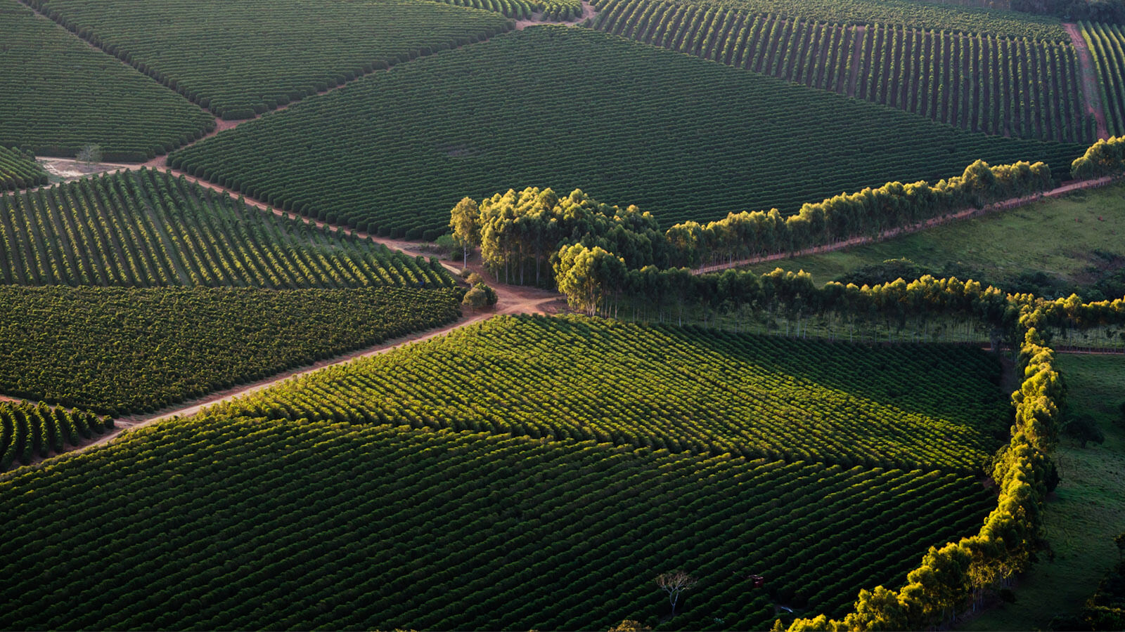 “Discover Moldova” Package
